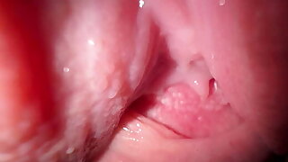 Fuck my horny EX for last time, Pussy fingering and close up fuck
